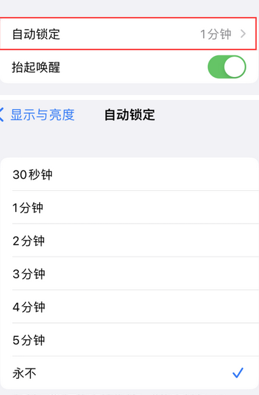 黔西南苹果换屏维修分享无法调整iPhone自动锁屏的时间怎么办